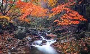 Eat until you're 70% full and live a long life! Many diseases are caused by overeating.