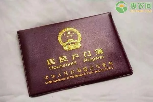 What are the different types of household registration?