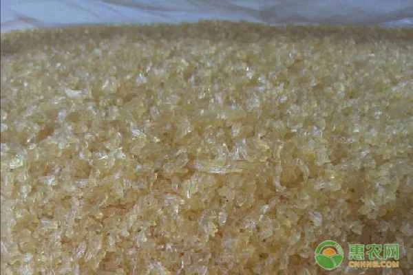 What is gelatin as a food additive?