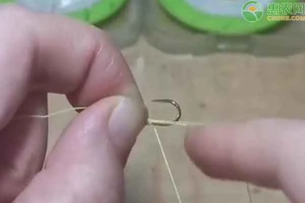 How big of a fish can you catch with a No. 6 Ise-ni?