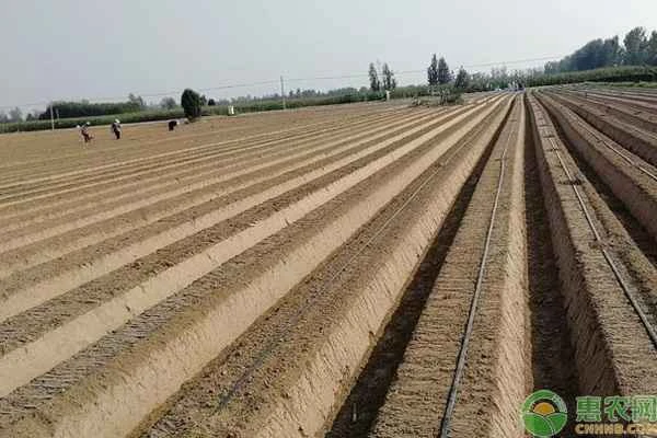 Which organization should I contact for soil testing?