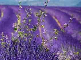 Health Tips: A Small Thing That Leads to All Diseases!