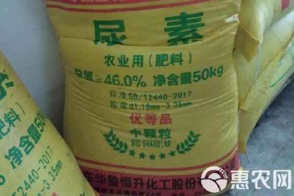 What fertilizer is most harmful to green beans?