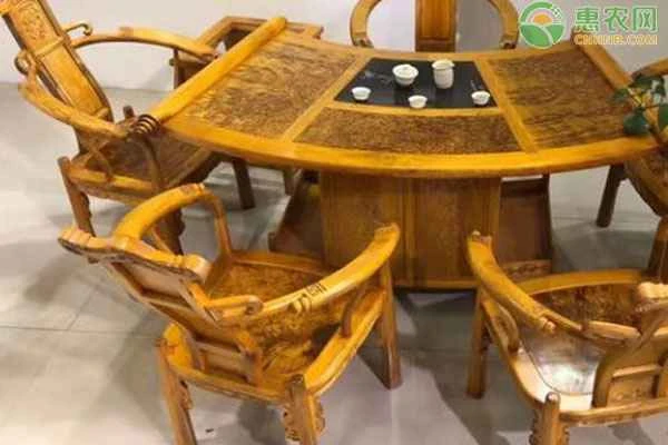 Where is Phoebe zhennan suitable for planting?