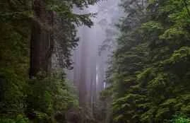 Is thicker milk always better? Avoid these three mistakes when drinking milk.