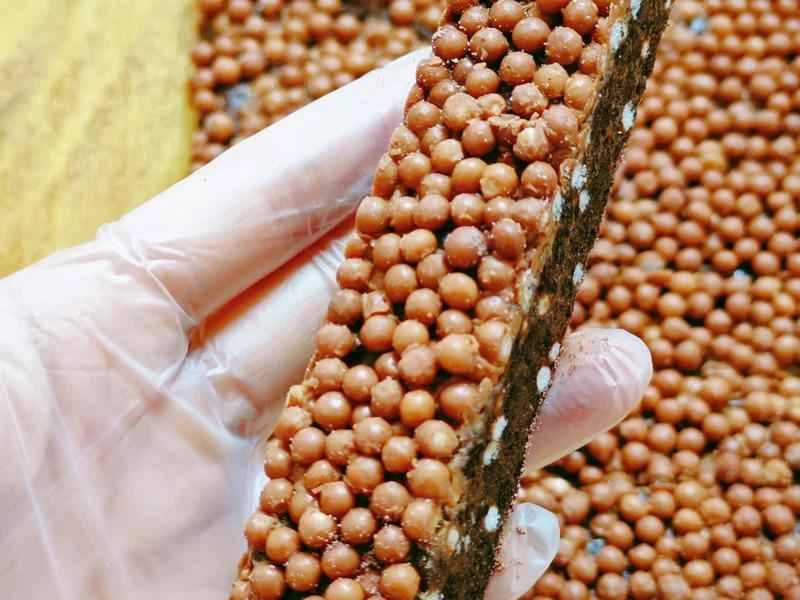 How to make pure milk hand-torn toast: Step 1