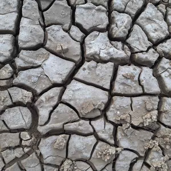 What ointment should I apply for chapped and cracked lips?