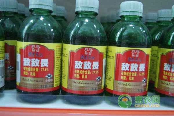 What insects does dichlorvos kill?