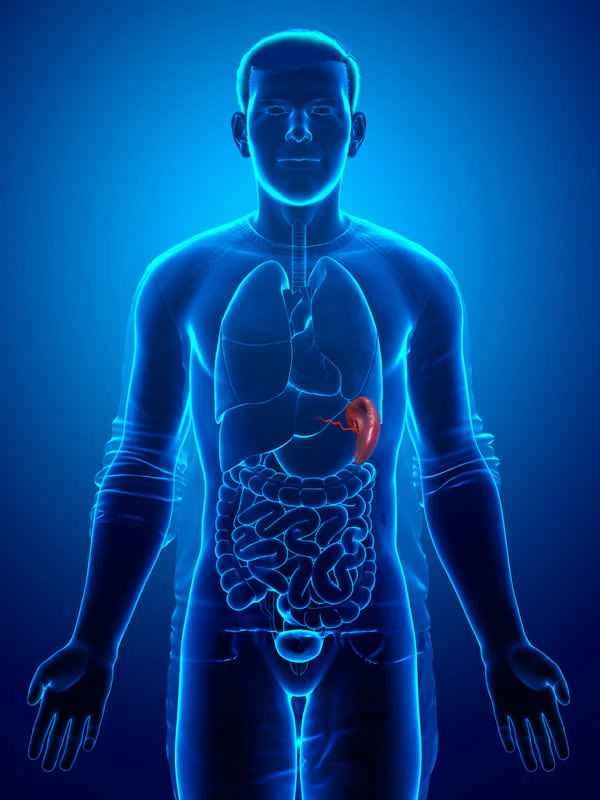 How to describe postoperative scarring after spleen surgery?