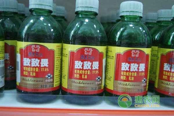 Which is more toxic, paraquat or dichlorvos?