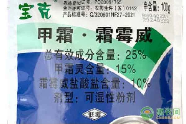 What are some effective treatments for celery black rot?