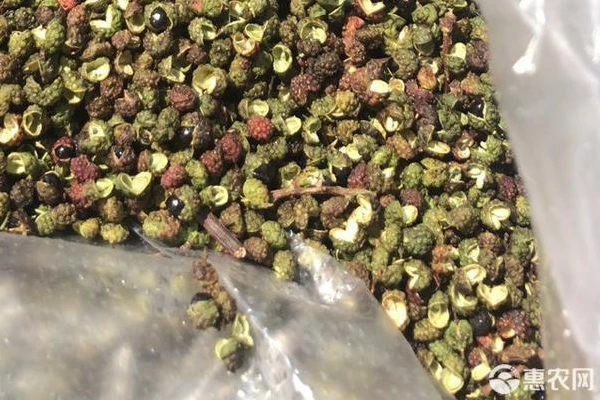 The correct way to dry Sichuan peppercorns