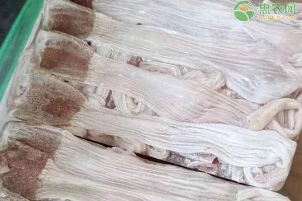 What part of a duck is the esophagus?