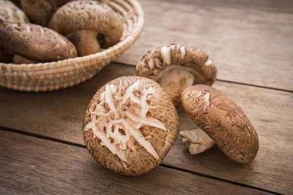 Is it okay to eat shiitake mushrooms and wood ear fungus if you have shingles?