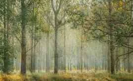 Do a self-test to see where in your body you feel hot/irritated.