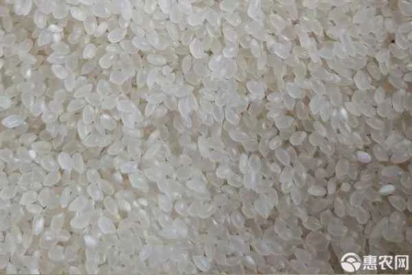 What were the two earliest crops cultivated by the Chinese?