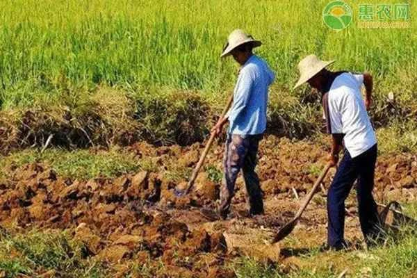 What is meant by "agriculture, rural areas, and farmers"? What exactly does it include?