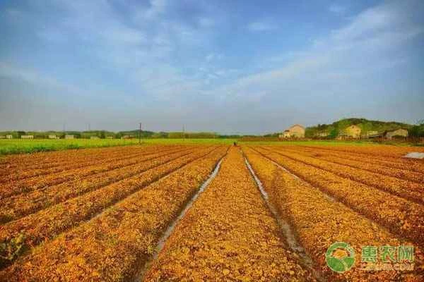 How many acres is one hectare of land in Northeast China?