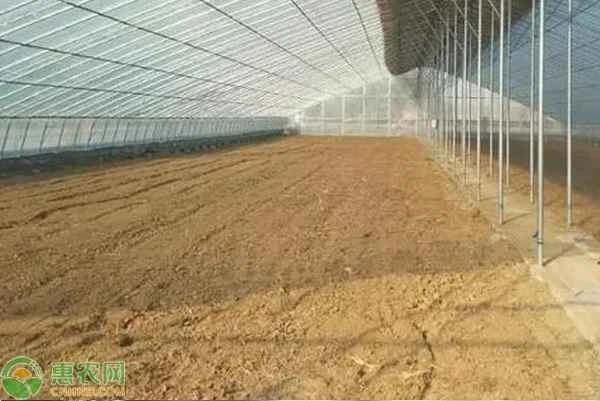 How much does it cost to build a 1-acre cherry greenhouse?
