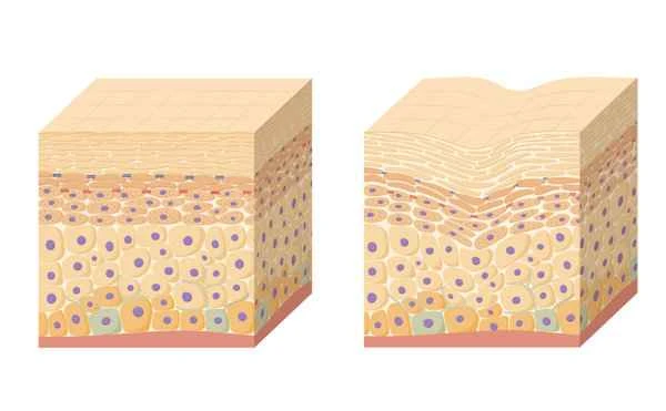 Can I use this cleansing cream every day?