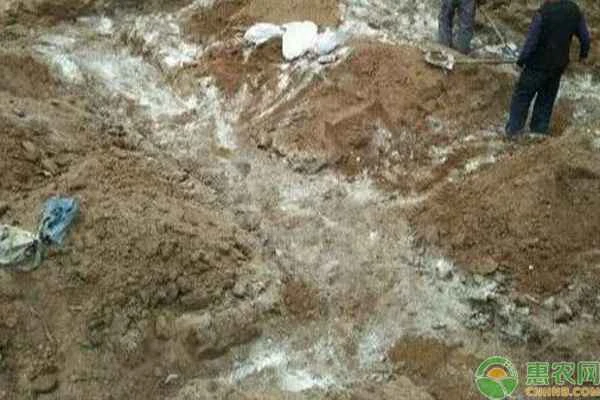 How do you calculate the amount of quicklime needed for 37 lime-soil mixture?