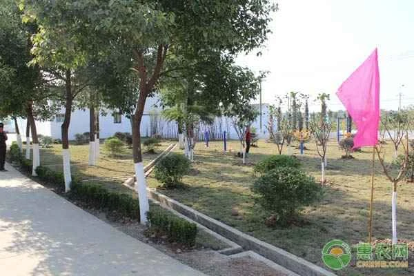 What does rural infrastructure construction include?