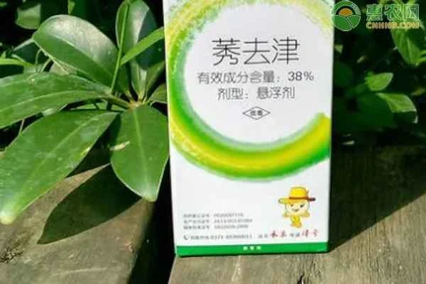 What weeds does atrazine primarily kill?