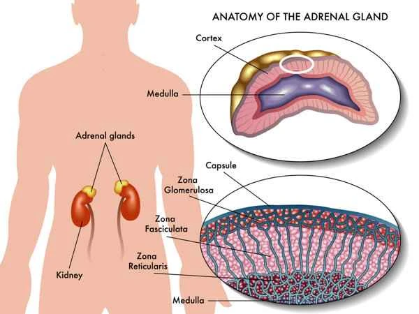 How to prevent keloids from growing larger