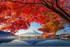 Health Tips: Six Things to Avoid When Drinking Water in Summer