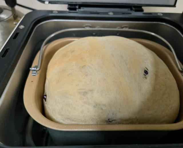 Beginner's Guide to Making Toast with a Bottree Bread Machine