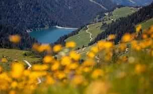 Autumn Health Experts Recommend Drinking These Three Soups