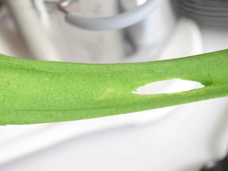 How to make pure milk hand-torn toast: Step 1