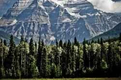 The truth revealed! Is drinking water before bed good or bad?