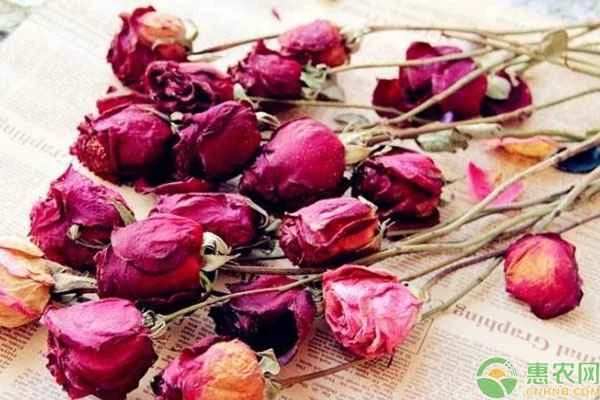 What are some methods for making dried flowers?