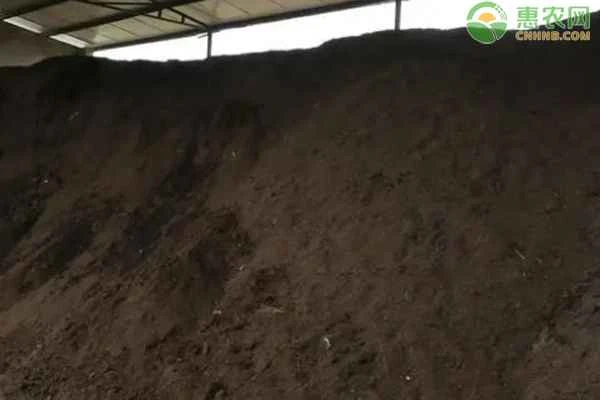 What kind of fertilizer is organic fertilizer?