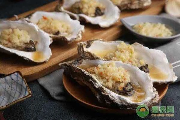 What kind of seafood is an oyster?