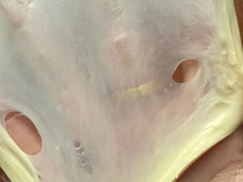 How to make pure milk hand-torn toast: Step 1