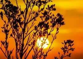 Can drinking only hot water during the hottest days of summer expel a year's worth of cold?