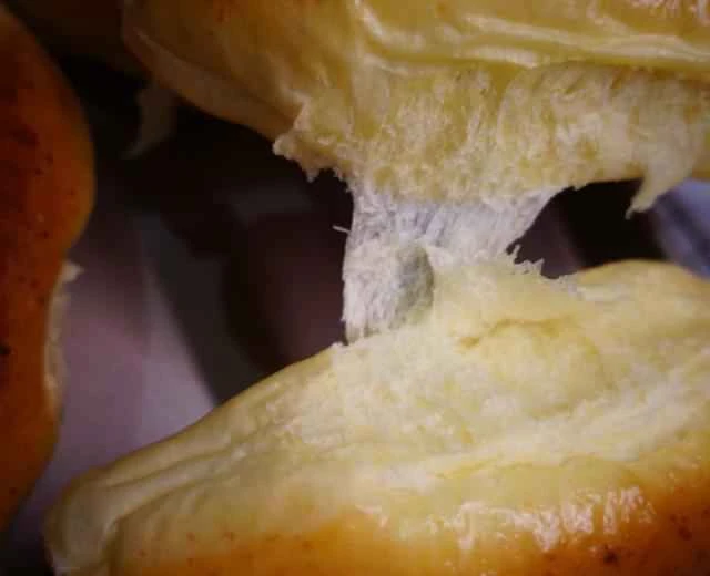 100 Baking Plans [040] Honey Milk Bread Recipe