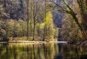 Is it true that men rely on food and women rely on sleep?