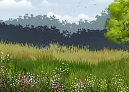 Warning! Eating apples incorrectly is tantamount to "suicide"