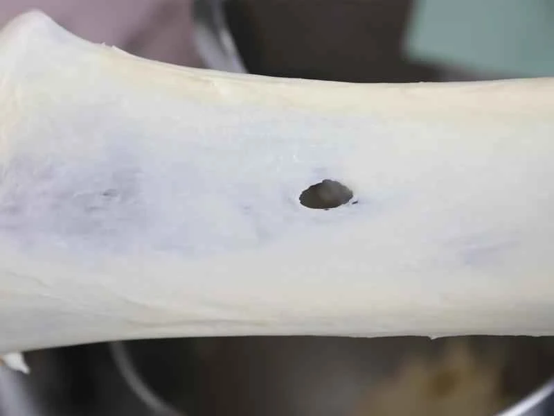 How to make pure milk hand-torn toast: Step 1