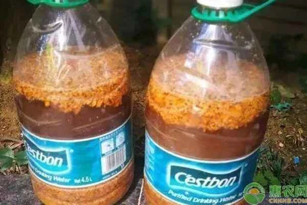 Can brown sugar and yeast be fermented to make a rooting agent?