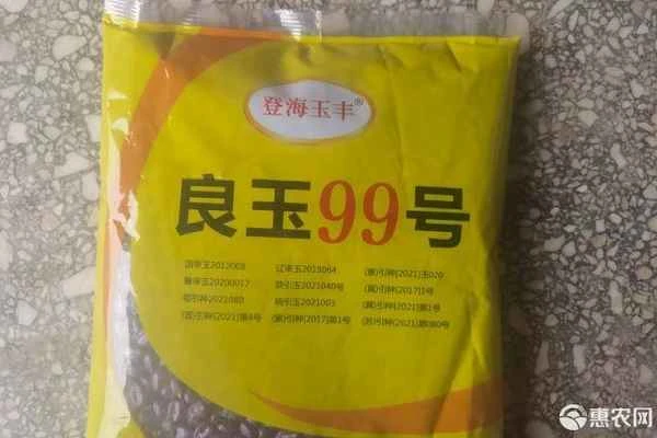 Introduction to the Liangyu 99 Corn Variety