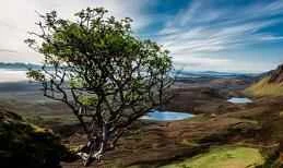 Traditional Chinese medicine reminds us that the transition from summer to autumn is the perfect time to dispel dampness and heat.