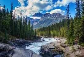 What to do about cold body? What foods should women with cold body eat?