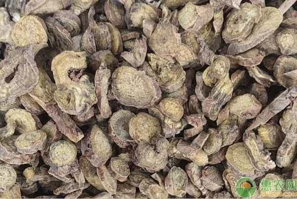 Where can I buy Chinese medicinal herbs?