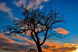 Revealed! What Men's Sweating Does Reveal?