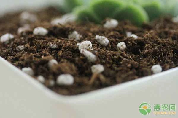 What are some methods for preparing nutrient soil using coconut coir?